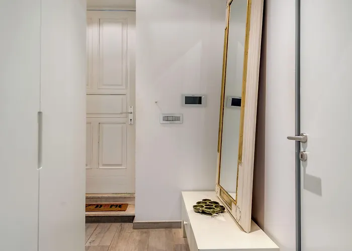 Daire Funky Donkey Split